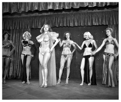 burleskateer:    Tempest Storm A publicity still from the 1953 Burlesque film: “A NIGHT IN HOLLYWOOD”, features Ms. Storm at center stage.. Misty Ayres (at Left) and Mae Blondell (at Right), are the 2 blond dancers seen behind her.. The film was shot