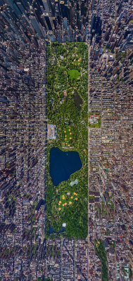 jedavu:   Russian Photographers Show How Birds See Our World And It’ll Leave You BreathlessEpic panoramic photos by AirPano 