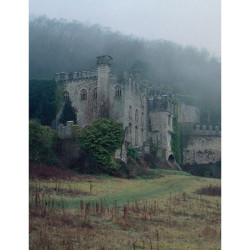 gg-vampgirl:  Medieval Castle, England photo by timwalker   ❤ liked on Polyvore