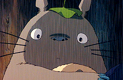 lucyliued-deactivated20210528:  Favorite Characters | Totoro(s) &ldquo;To-to-ro… Is that what your name is? Totoro?&rdquo; 
