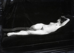 lumieredesroses:  Photographe anonyme. Etude de nu vers 1900 Courtesy Galerie Lumiere des roseshttp://lumieredesroses.com/ 