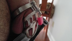 yefimovich989:  Shiny new cage, no way to pull out &amp; no need to take it off to clean.  Now the real chastity game begins.