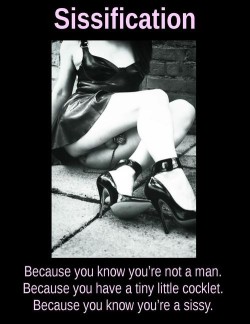 sissyreaper:  sissy-stable:  Do you have a little cocklet and admit that you were never really a Man ?    Sissy Reaper … More Gay every day …  