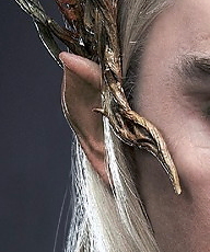 leeeeeeeeeegooooooooolaaaaaaaaas:  I couldn’t help but notice the variation in Elf ears. Thranduil’s ears have a more defined point to them that curves back. Legolas’ ears are much rounder and subtle. Tauriel’s are rather large and are curved