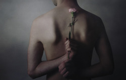 Broken Flower by Andrea Peipe 
