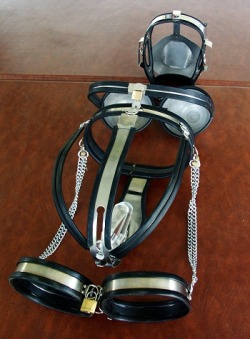 fuckiamsexedout:  Full metal Chastity Outfit with belt - breast shields - tigh bands - 2 dildos and head harness  :)) &lt;3