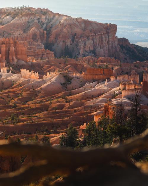 amazinglybeautifulphotography:  Beautiful colors of Bryce Canyon. (1080x1350) (OC) - Author: Tristan_100k on reddit