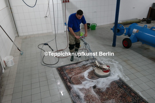 Teppichreinigung Berlin