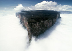 coffeeandcockatiels:  fuoco-going-ghost:  phenex1331:  20 places that don’t look real (part 2) 11.Mount Roraima-South america 12.Naico mine-Mexico 13.Red beach-China 14.Solar du Uyuni-Bolivia 15.Tainzi mountians-China 16.Tulip fields-Netherlands 17.Tunnel