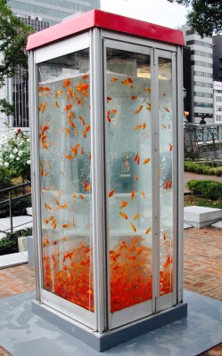12h51mn:  Retro phone booths transformed into goldfish aquariums by Kingyobu Osaka, Japan 2011 