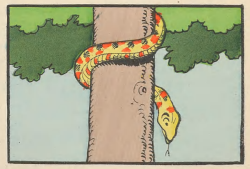 nemfrog:A snakes descends a tree.  Scènes de la vie privée des animaux. 1900. Benjamin Rabier.