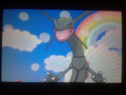 edenroselol:  Edenroselol’s Second Shiny Pokemon Giveaway! See that awesome Shiny Rayquaza right there? Well, it can be yours! I will be doing a random drawing to decide the winner, based on reblogs/likes of this post. Each reblog is 1 entry, and each