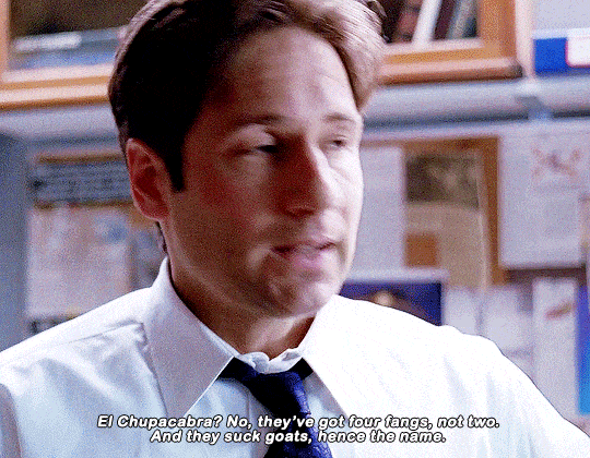 mulderscully:THE X-FILES | 5.12 — “Bad Blood” (1998)