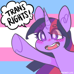 eyes-like-yourss:twilight sparkle says trans rights!!