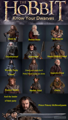 acrimoniousrex:  arya-starkles:  aidanturnerfrustration:  erebor-or-bust:  papune:  A Guide To Dwarves In ‘The Hobbit’  Shockingly accurate.  *cries with laughter*  “dwarf you’d settle for if pretty dwarf turned you down…” this fandom… 