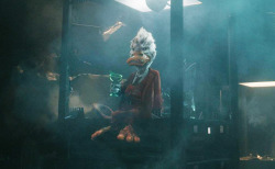 avengersuniverse:  Would you ever want to see a Howard The Duck film set in the Marvel Cinematic Universe? 