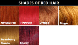 the-lady-of-reichenbach:  smaugnussen:  goddessofsax:  Hair color reference chart. It’s not perfect, but from what I could gather it’s pretty accurate.  dont let the fanfic writers see this  too late 