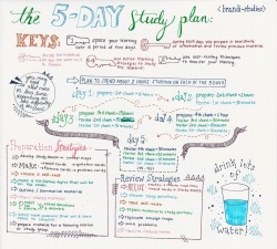 brandi-studies:  The Five Day Study Plan:  Exam season is upon us (actually, exam season has been this entire semester for me, really. I’ve had at least one exam every week since January) so I decided to make a little info graphic on the 5-day study