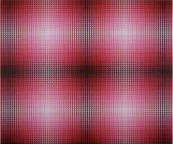 spacecamp1:  Susie Rosmarin, Red Painting, 2010, Acrylic on canvas
