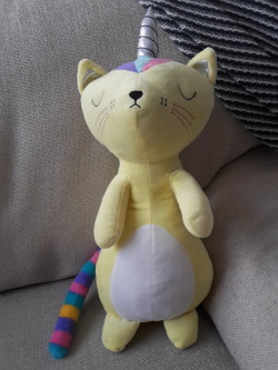 I bought a Caticorn today coz I&rsquo;m an adult and i can spend my money however i please. 😄