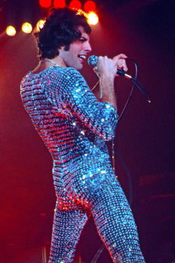 thedevil-inlove:  ♫ Freddie Mercury Outfit Appreciation ♪  Follow @laylamars for similar posts