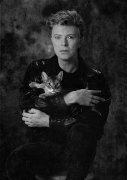 skyistica:  Famous Musicians with cats