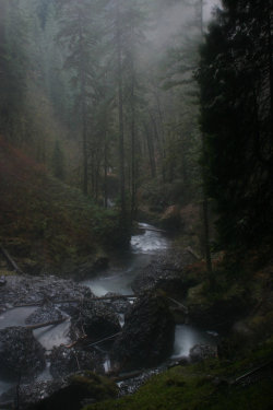 ominousraincloud:  North Falls | By Jennifer Ward | Marion, Oregon, USA 