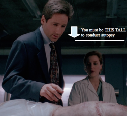 theogfiles:  Sorry Agent Scully, but you’re too smol… 