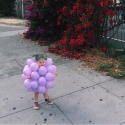 pretnoirnwa:  mpregcraig:  this is the best picture i’ve seen in my life. this is a million dollar picture.   Baby so happy , go little grape