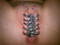 pussymodsgalore:  pussymodsgalore  Ten outer labia piercings with rings, linked by rings, chastity piercing. Two Christina piercings, and a VCH. I make that 13 piercings, an earlier poster counted 18, but I do not consider the central linking rings to