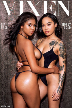 adultstars-sfw:  Nia Nacci, Honey Gold  NIA NACCI AND HONEY GOLD IS A THICK HOT DIRTY MEATY BROWN SUGAR AND REDBONE SLUTS WITH HOT SLUTTY TITS,JUICY WET PUSSY AND HOT STINK ASS LOOKING SO HOT, NASTY, TRASHY, STINK AND SLUTTY, JUST THE WAY I LIKE AND LOVE