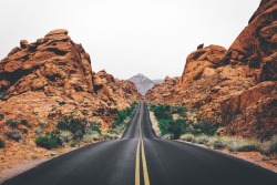 eartheld:  bryandaugherty:  Valley Of Fire  mostly nature