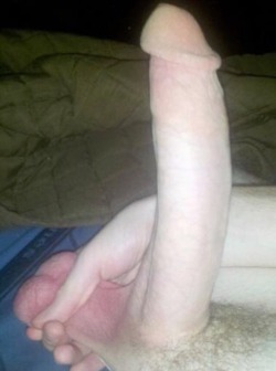 inkdupwhiteboy:  Took this earlier not fully hard but jerking off having fun if any girls want it message me on kik ShineSun6