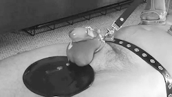 nixx-stuff: goddess-mariahh:  mistresssara:  The perfect male orgasm  Swollen balls for chastity slave   Never give him more than that. Actually, it’s indeed a great privilege to let cum. Always ruin it so that he’ll crave for more but knowing full