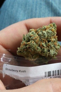 thcfinder:Grab some amazing Strawberry Kush from our friends at Ann Arbor Wellness Collective http://www.thcfinder.com/marijuana-dispensary/michigan/ann arbor/the-ann-arbor-dispensary/