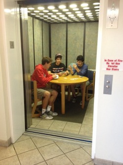 alexi-mayhew: thesilencedmasses:  adminover20:  radglawr:  haedia:  thewolfofnibu:  stahscre4m:  there are guys in my dorm who decided to play cards in the elevator  see what intrigues me about college isn’t the intellectual pursuit or the bonding or
