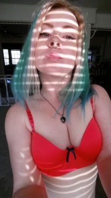 chellesilverstein:  clips4sale     manyvids      live shows 
