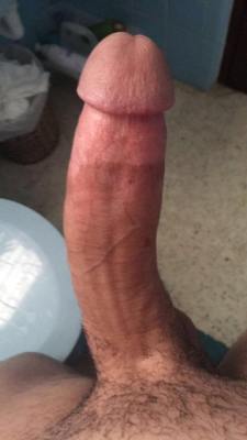 CURVED COCKS