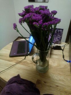 Nick came home with flowers today. For no reason whatsoever either. It really surprised me:) Purple flowers to go along with everything else in my house that is purple lol