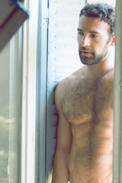 hairy-chests: http://hairy-chests.tumblr.com/  Sexy dad.