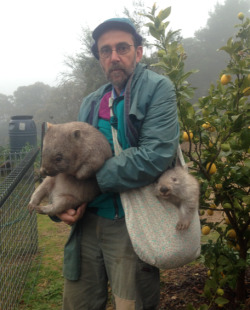 artemisiasea: Me walking into 2018 with a bag filled with wombats and a lemon tree by my side. All is holy and good.