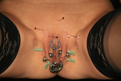  pussymodsgalore Pierced pussy with a HCH piercing with a ring, two outer labia piercings with barbells, and two inner labia piercings with rings. Additionally, BDSM pain games. A number of pins and needles have been stuck into her. 