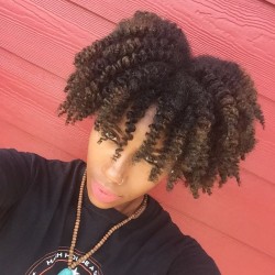 iamnaturallycandace:  I did about 20 twist using @sheamoisture4u curl enhancing smoothie and a little coconut oil. I left my twist in for a day, last night I stretched them using bobby pins. Separated and fluffed ☺️
