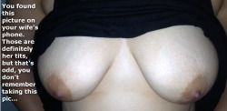 Amazing breasts courtesy of captaingonzo22! Thanks for sharing your wife with us!