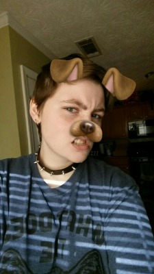 p0cket-pup:The spiked collar I ordered to make me look more tough can in the mail yesterday! I don’t think it worked but I still like it ^_^