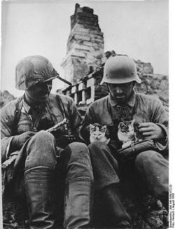 August 1943, Wehrmacht soldiers
