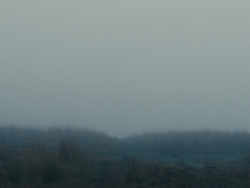 dreamyfilms:  wuthering heights (2011, dir. andrea arnold)