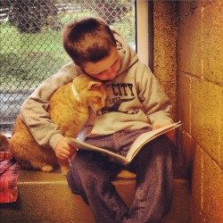 rock-style-love:  inthiscircleimasquare:  atalantapendrag:  icatmeme:  My local rescue has a program called Book Buddies where kids read to sheltered cats to keep them from being lonely.  That’s beautiful.  All the feels!! 😭  I cant even. Thats best