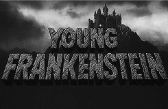 trixiedelight:  Young Frankenstein (1974) 