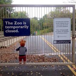 nbcnews:  Government shutdown’s ‘saddest photo’ goes viral (Photo courtesy of SuperBonnie via Reddit) A picture of a small child in a monkey costume is quickly becoming the unofficial symbol of the government shutdown. More from TODAY   Omg. This